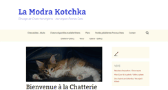 Desktop Screenshot of lamodrakotchka.com