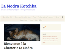 Tablet Screenshot of lamodrakotchka.com